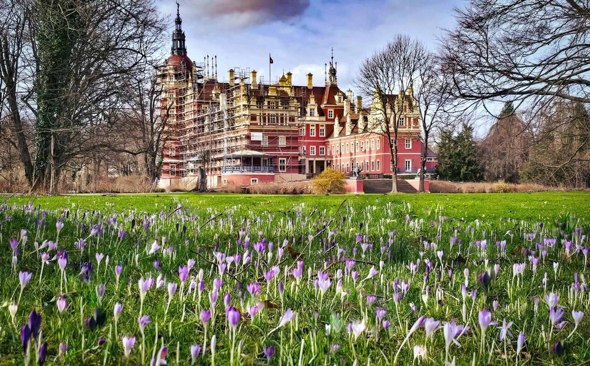 Muzakowski Zakatek Nowe Czaple  Buitenkant foto